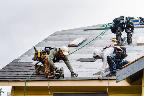 Professional Storm Damage Roof Repair technician working in Waring, TX